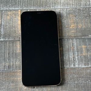 iPhone 12 Pro Max 256 GB